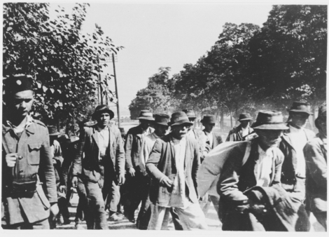 Serbi e zingari radunati e deportati dagli ustaša al campo di concentramento di Jasenovac, Croazia 1942-1943